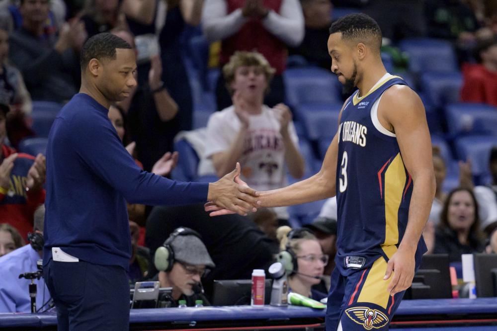 引进的科纳 引进的科纳