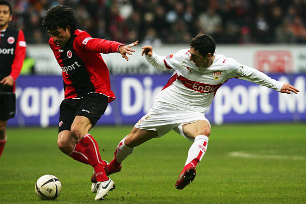 赛的亮点 赛的亮点